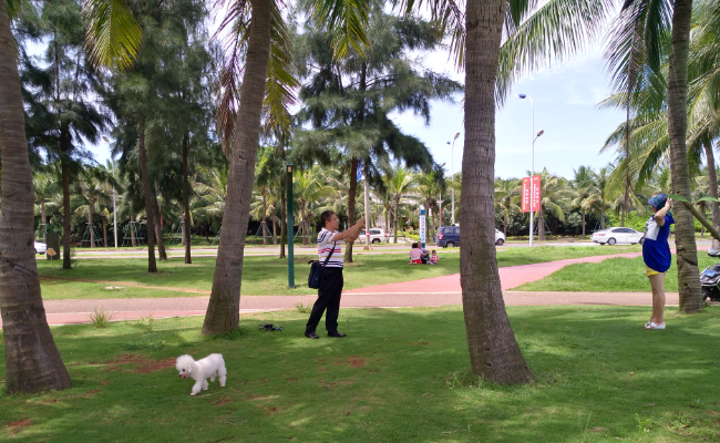 QQ截图20180820211428.png