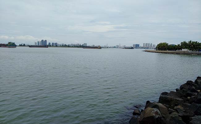 IMG_20180819_123117.jpg