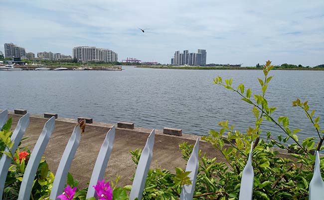 IMG_20180819_130023.jpg