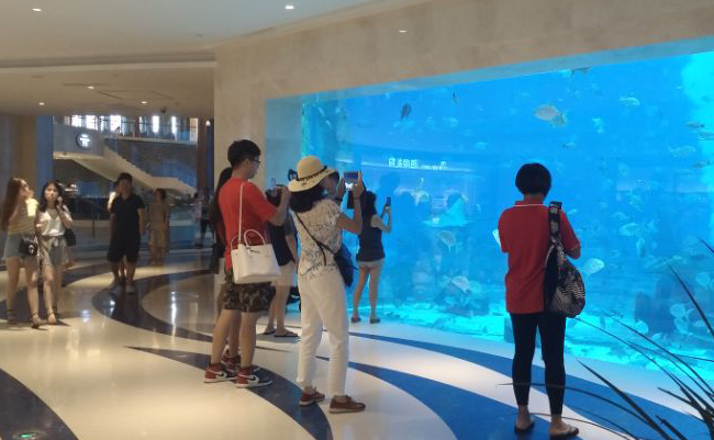 海棠湾亚特兰蒂斯酒店水族馆